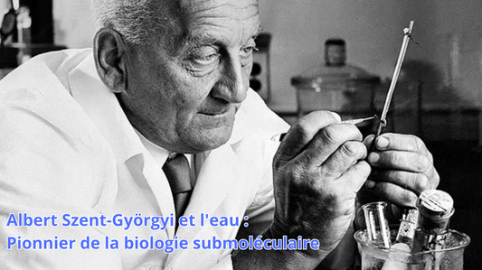 Albert Szent-Györgyi et l'eau : Pionnier de la biologie submoléculaire