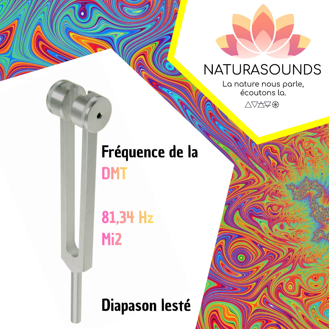 Diapason de la DMT | Fréquence d'Introspection Profonde