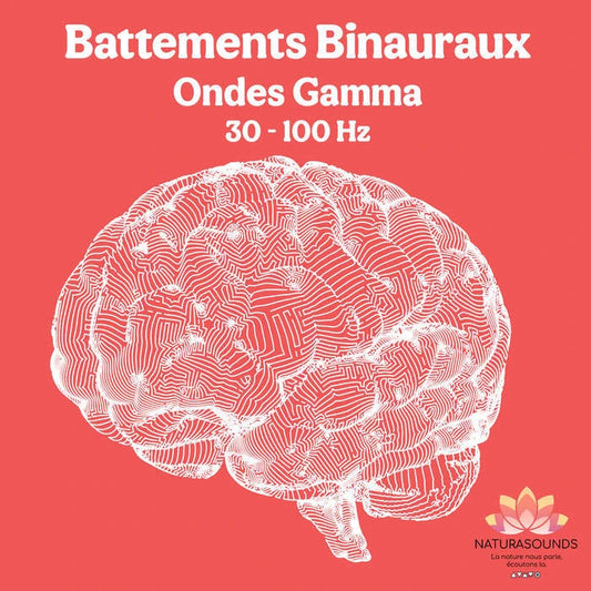 🎧 5 Binaural Beats Albums