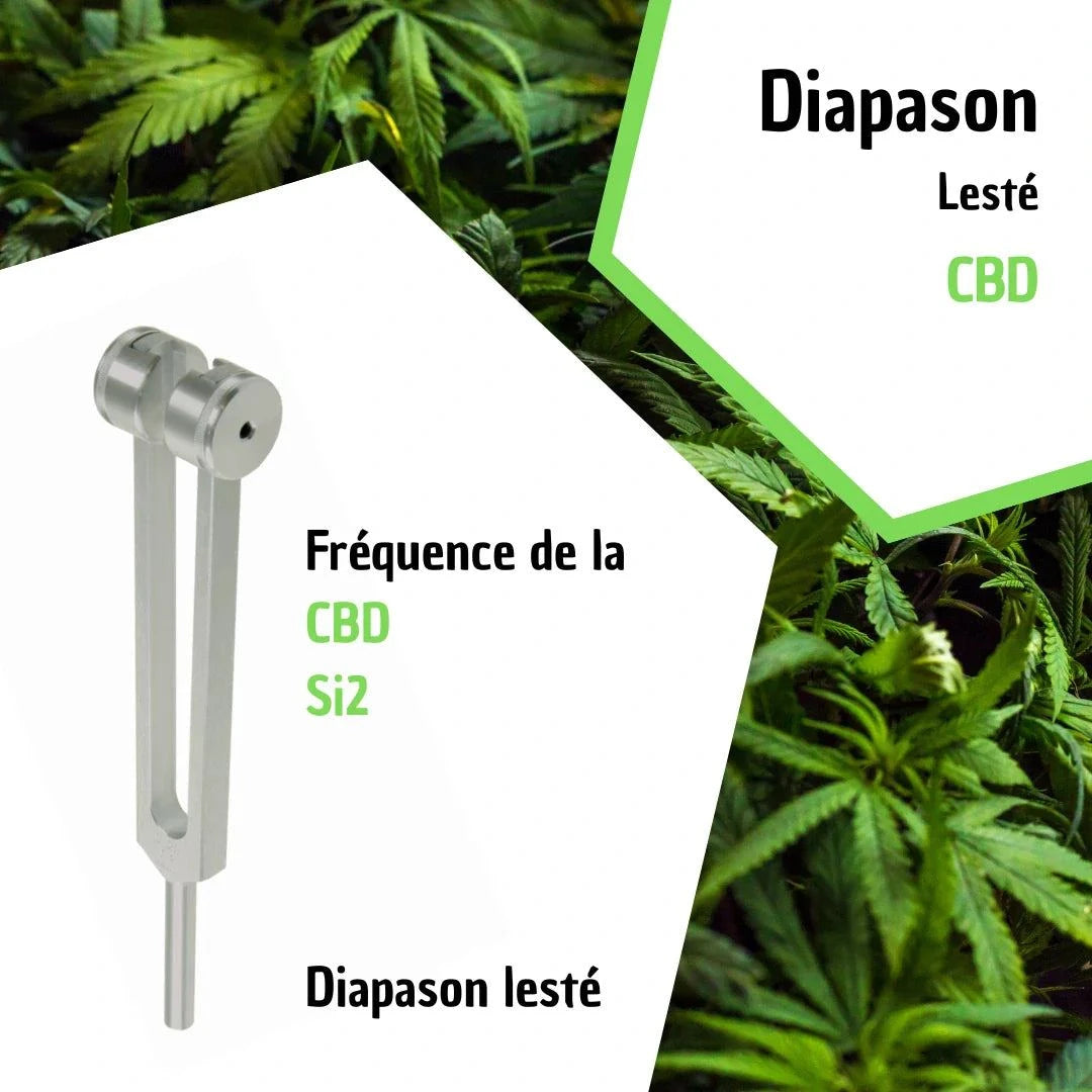 Weighted tuning fork Si2 frequency for CBD resonance, molecular sound chemistry design, includes black velvet case.