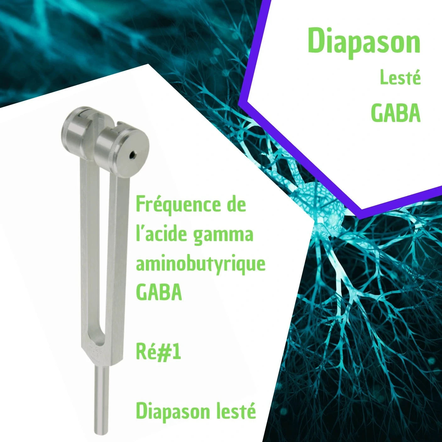 GABA tuning fork