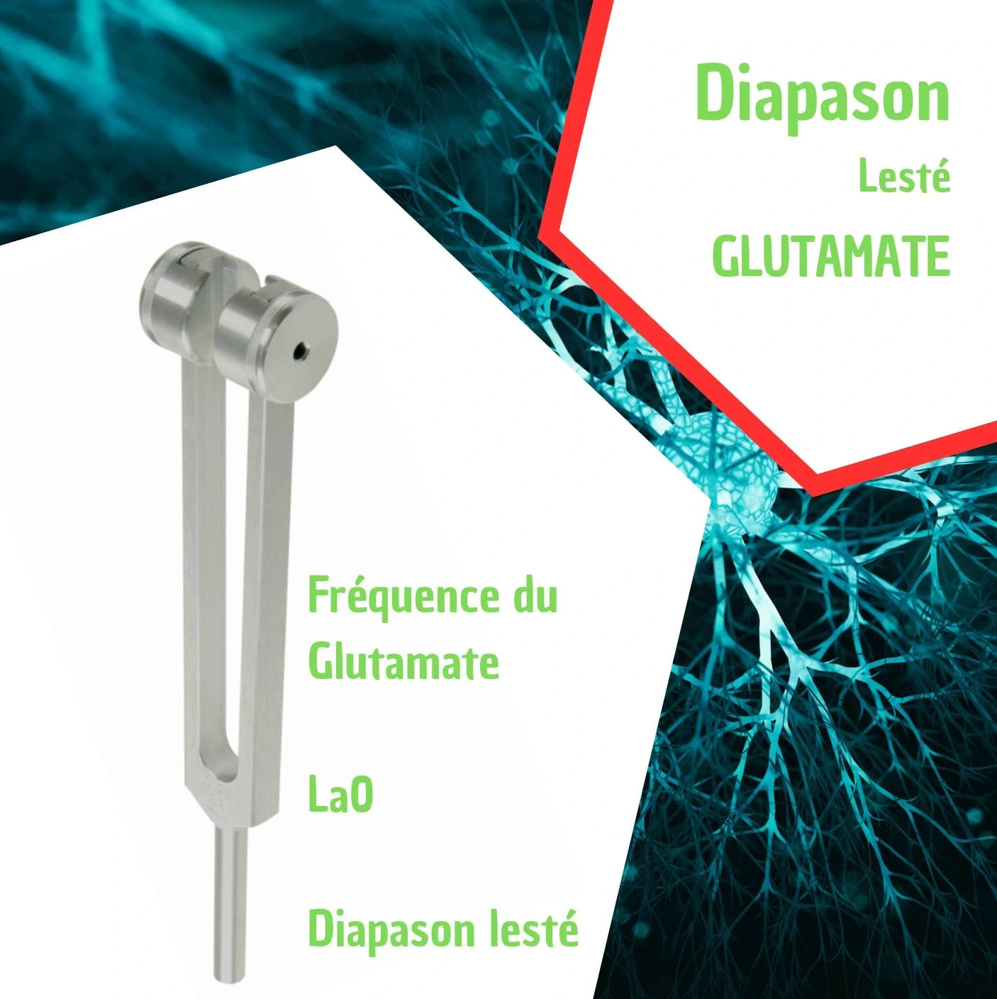 Glutamate Tuning Fork