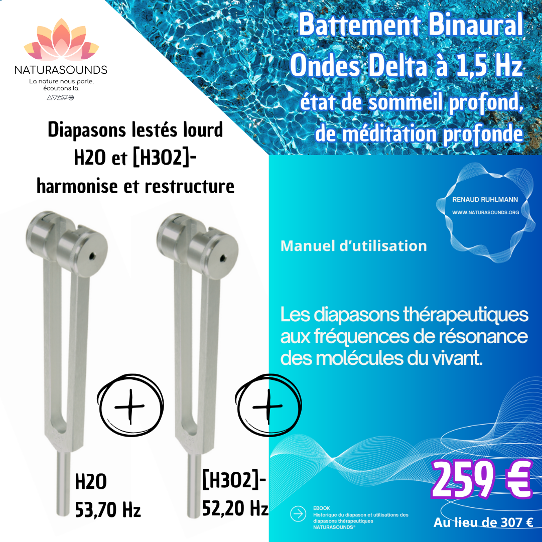 PACK 2 Diapasones Lastrados Terapéuticos Frecuencias del Agua 52,2 & 53,7 Hz con manual