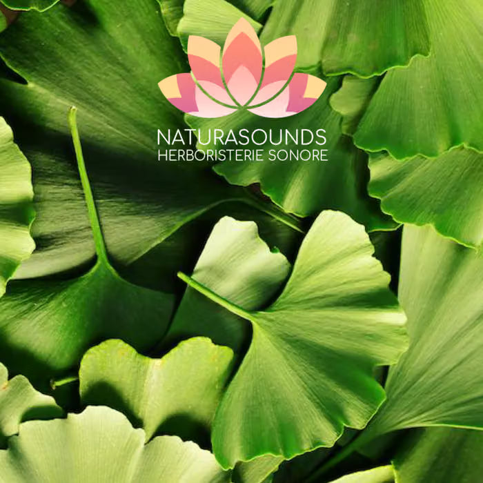 🎧 Canto Medicinal del Ginkgo Biloba - 429,62 Hz H20