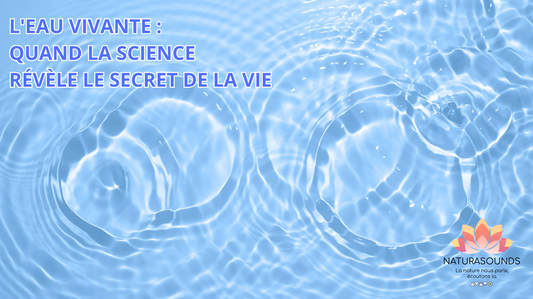 L'EAU VIVANTE : QUAND LA SCIENCE RÉVÈLE LE SECRET DE LA VIE