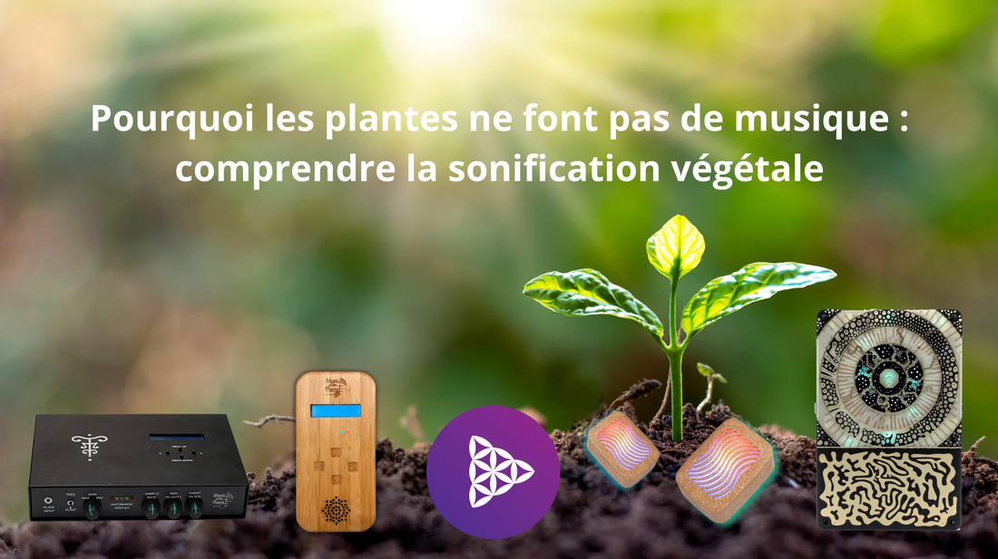 Pourquoi les plantes ne font pas de musique : comprendre la sonification végétale