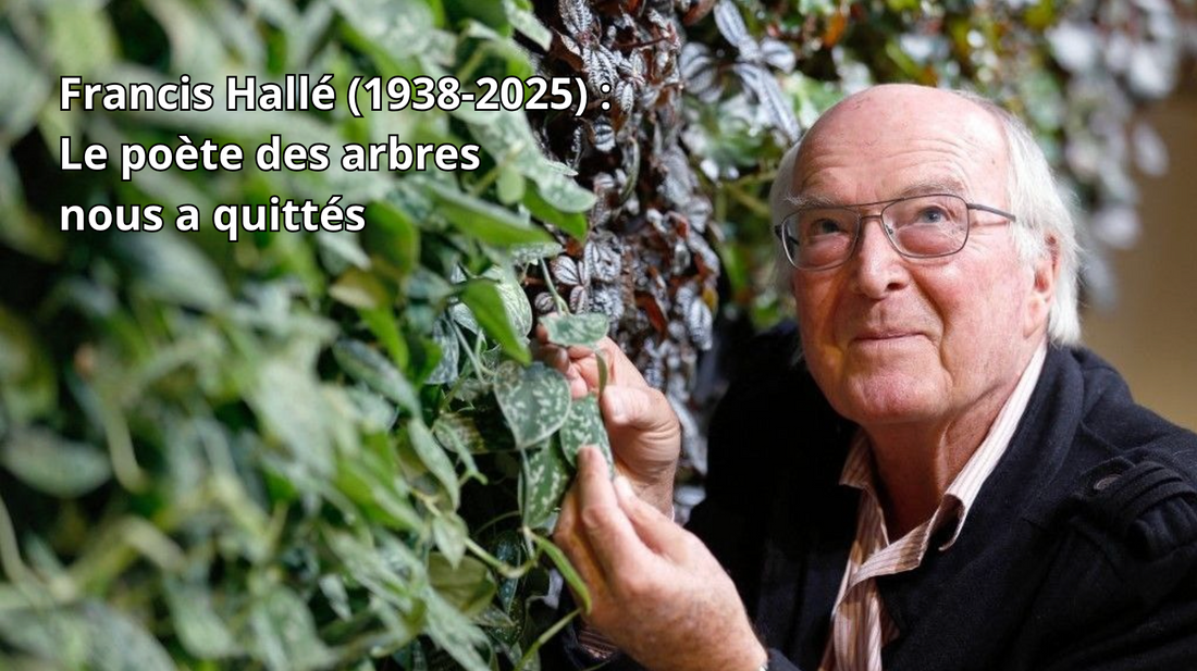 Francis Hallé (1938-2025) : Le poète des arbres nous a quittés