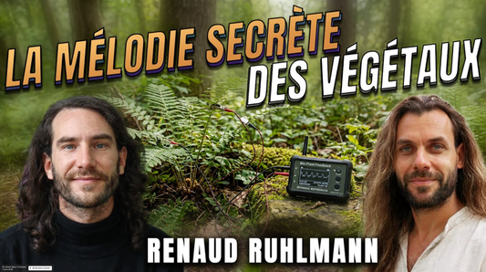 Entendre les Végétaux pour accéder à leur Conscience - Entrevue avec Sidney Tegbo