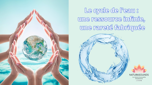 Le cycle de l'eau : une ressource infinie, une rareté fabriquée