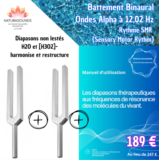 2 diapasons non lestés H2O et H3O2 avec manuel d'utilisation
