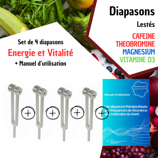 BUNDLE ÉNERGIE & VITALITÉ