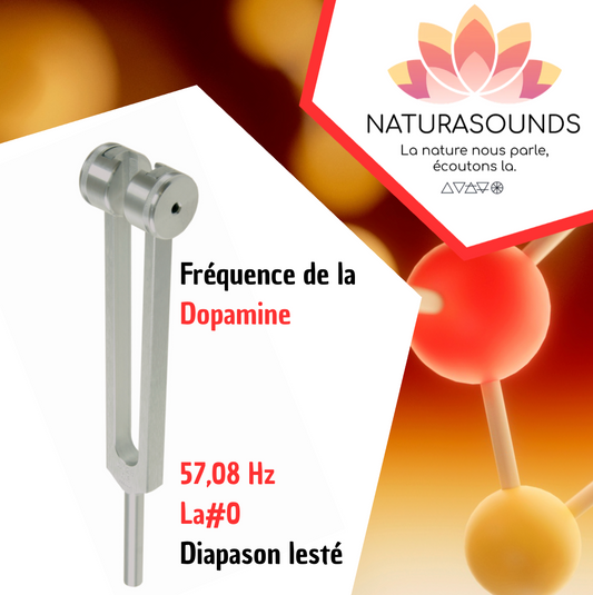 Diapason Neurotrasmettitore - Dopamina