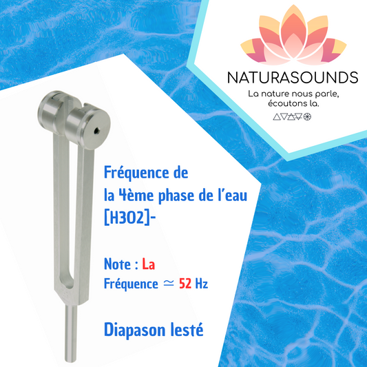 Diapason de l'eau H3O2- lesté lourd : Restructuration de l'information