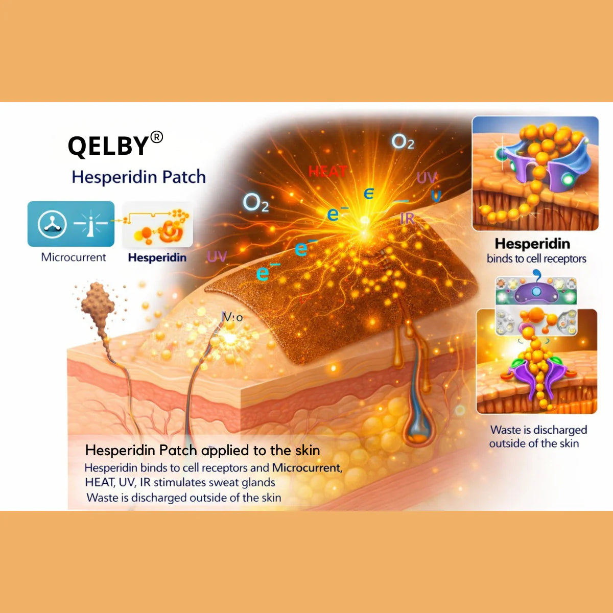 1 Patch QELBY Hespéridine