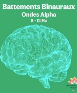 Album MP3 Battements Binauraux Ondes Alpha 8-12 Hz pour relaxation et créativité