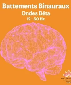 Album MP3 Battements Binauraux Ondes Bêta 12-30 Hz - Focus & Vigilance