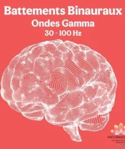 Album MP3 Battements Binauraux Ondes Gamma 30-100 Hz - Focus & Mémoire