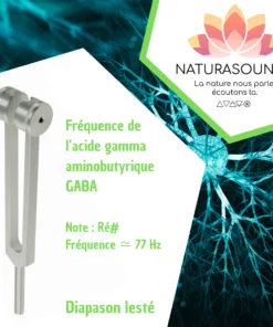 Diapason Lesté Naturasounds GABA Ré# 77 Hz avec housse velours pour thérapie sonore