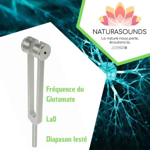 Diapason Lesté Naturasounds Fréquence du Glutathion La0 avec housse en velours pour thérapie sonore