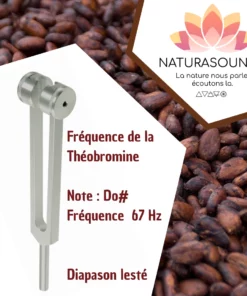 Diapason Lesté Naturasounds Théobromine Do# 67 Hz avec housse velours pour thérapie sonore