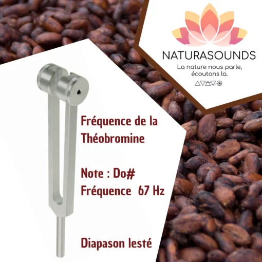 Diapason Lesté Naturasounds Théobromine Do# 67 Hz avec housse velours pour thérapie sonore