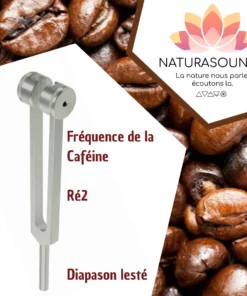 Diapason Lesté Naturasounds Caféine Ré2 avec housse velours pour thérapie sonore