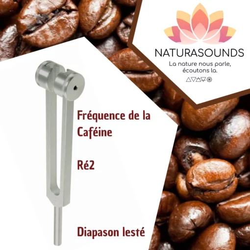 Diapason Lesté Naturasounds Caféine Ré2 avec housse velours pour thérapie sonore