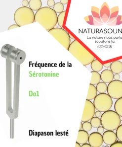Diapason Sérotonine - Do2 avec housse velours pour transformer votre bonheur