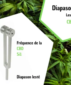 Diapason CBD - Si2 avec housse velours pour transformer votre bien-être
