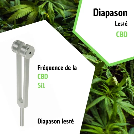 Diapason CBD - Si2 avec housse velours pour transformer votre bien-être