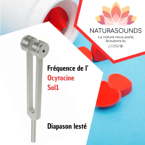 Diapason Ocytocine - Sol2 lesté avec housse velours pour transformer vos liens