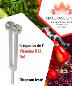 Diapason Vitamine B12 - Do lesté avec housse velours pour transformer votre énergie