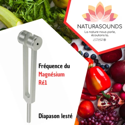 Diapason Magnésium - Ré2 lesté avec housse velours pour transformer votre calme