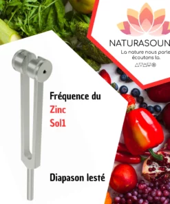 Diapason Zinc - Sol2 lesté avec housse velours pour transformer votre force