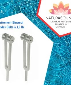 Set de 2 diapason lestés a battement binaural ondes delta à 1,5Hz