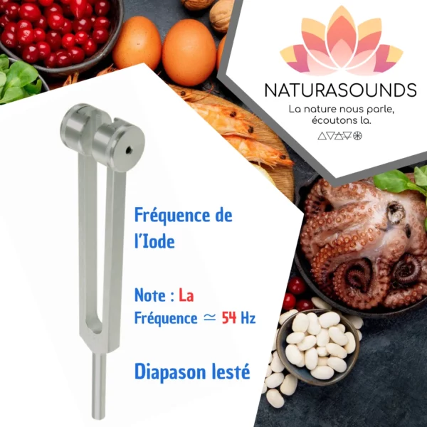 Diapason Lesté Naturasounds Iode La 54 Hz - Thérapie Sonore Relaxation et Bien-être