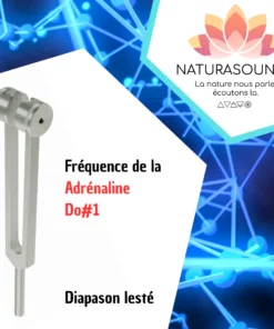 Diapason Lesté Naturasounds™ Adrénaline Do#1 avec housse velours pour thérapie sonore