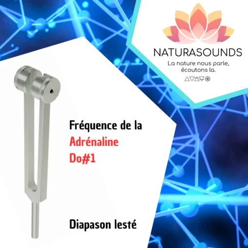 Diapason Lesté Naturasounds™ Adrénaline Do#1 avec housse velours pour thérapie sonore