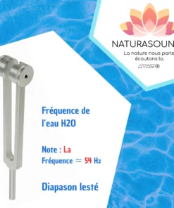 Diapason Lesté Naturasounds H2O La 54 Hz - Thérapie Sonore Pure