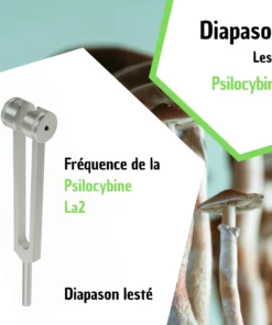 Diapason Psilocybine - La2 avec housse velours pour transformer votre esprit