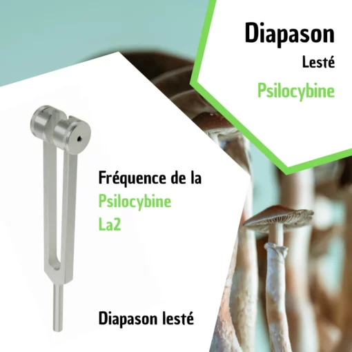 Diapason Psilocybine - La2 avec housse velours pour transformer votre esprit