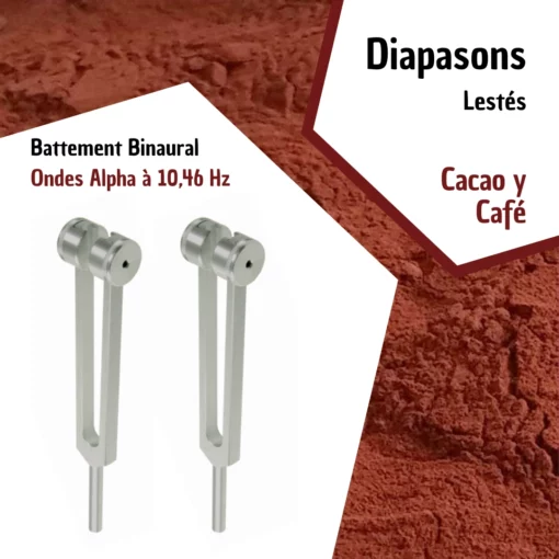 Set de Diapasons Cacao Y Café avec housse velours pour thérapie sonore